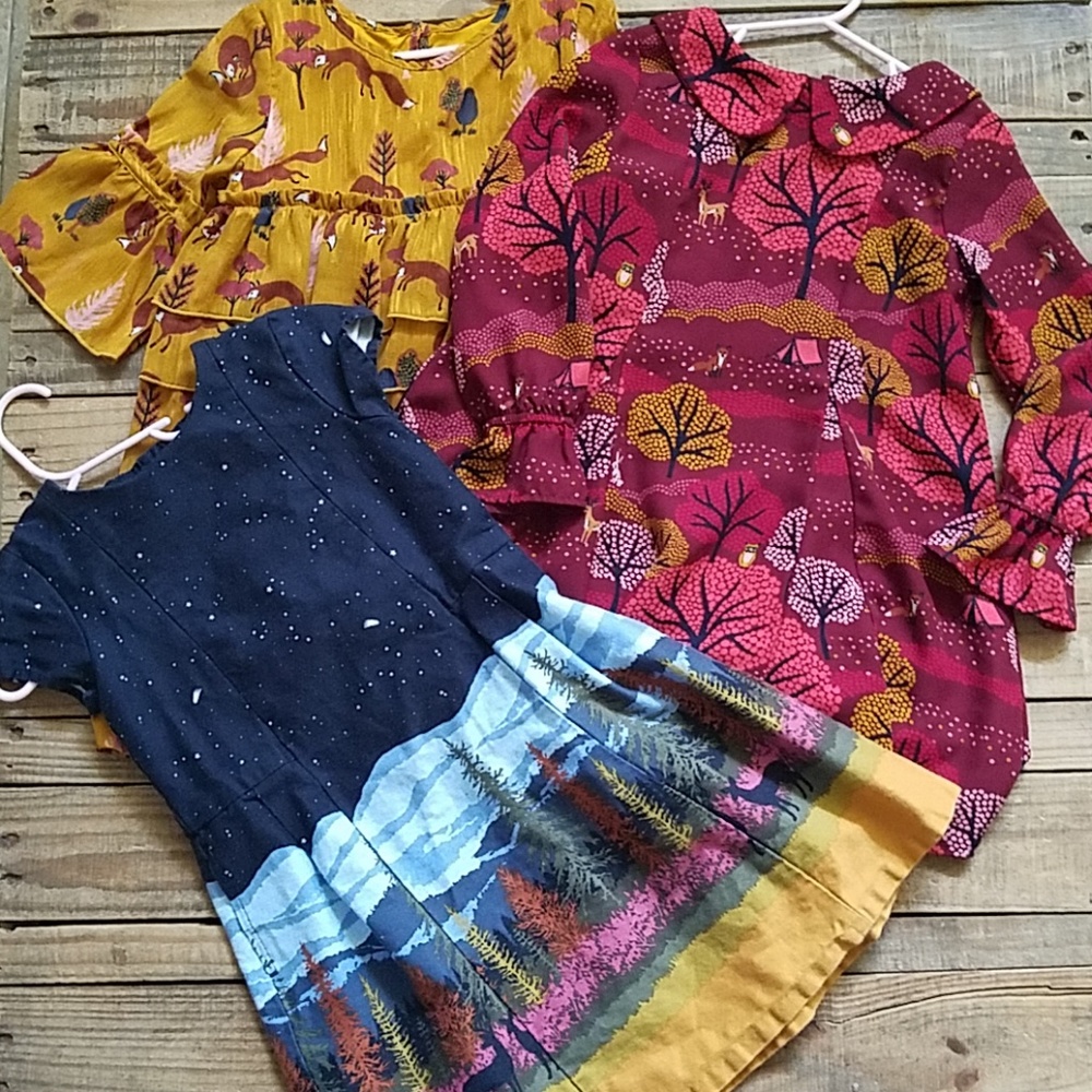 4 Fall Dresses Bundle 5t